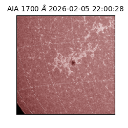 saia - 2026-02-05T22:00:28.718000