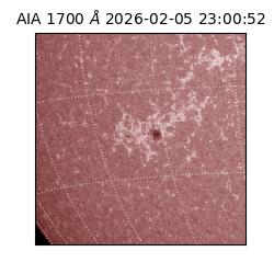 saia - 2026-02-05T23:00:52.742000