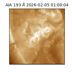 saia - 2026-02-05T01:00:04.835000