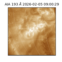 saia - 2026-02-05T09:00:29.619000