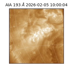 saia - 2026-02-05T10:00:04.842000