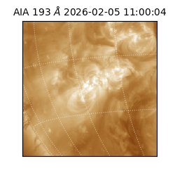 saia - 2026-02-05T11:00:04.843000