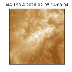 saia - 2026-02-05T14:00:04.835000