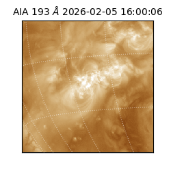 saia - 2026-02-05T16:00:06.807000