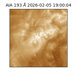 saia - 2026-02-05T19:00:04.843000