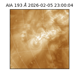 saia - 2026-02-05T23:00:04.843000