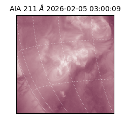 saia - 2026-02-05T03:00:09.640000