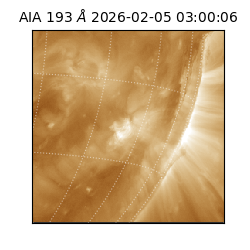 saia - 2026-02-05T03:00:06.810000