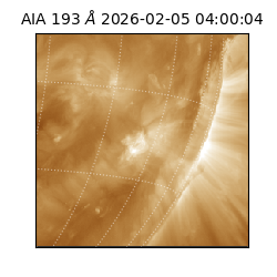 saia - 2026-02-05T04:00:04.843000