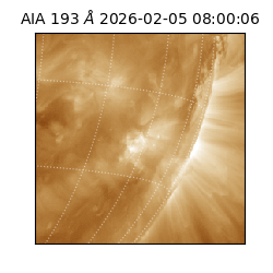 saia - 2026-02-05T08:00:06.800000