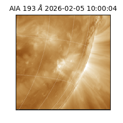 saia - 2026-02-05T10:00:04.842000