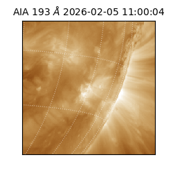 saia - 2026-02-05T11:00:04.843000