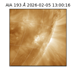 saia - 2026-02-05T13:00:16.843000