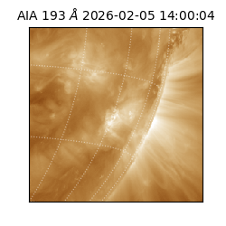 saia - 2026-02-05T14:00:04.835000