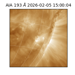 saia - 2026-02-05T15:00:04.842000