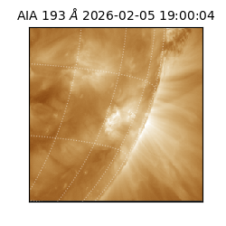saia - 2026-02-05T19:00:04.843000