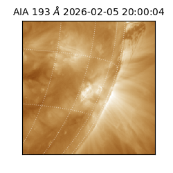 saia - 2026-02-05T20:00:04.843000