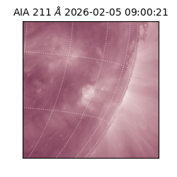 saia - 2026-02-05T09:00:21.630000