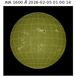 saia - 2026-02-05T01:00:14.118000