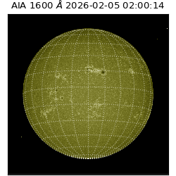 saia - 2026-02-05T02:00:14.130000