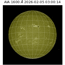 saia - 2026-02-05T03:00:14.126000