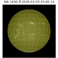 saia - 2026-02-05T05:00:14.118000