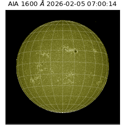 saia - 2026-02-05T07:00:14.132000
