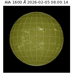 saia - 2026-02-05T08:00:14.125000