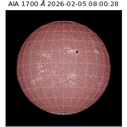 saia - 2026-02-05T08:00:28.721000