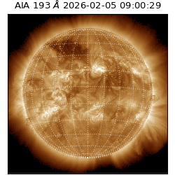 saia - 2026-02-05T09:00:29.619000