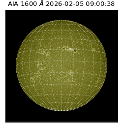 saia - 2026-02-05T09:00:38.121000