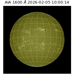 saia - 2026-02-05T10:00:14.125000