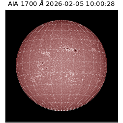 saia - 2026-02-05T10:00:28.709000