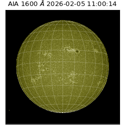 saia - 2026-02-05T11:00:14.126000