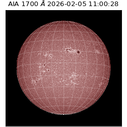 saia - 2026-02-05T11:00:28.710000