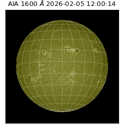 saia - 2026-02-05T12:00:14.118000