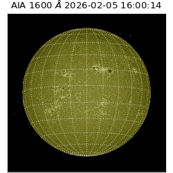 saia - 2026-02-05T16:00:14.126000