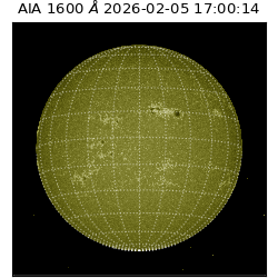 saia - 2026-02-05T17:00:14.126000