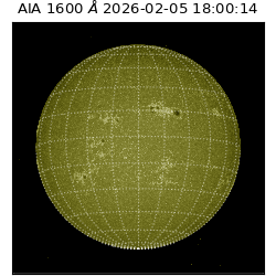saia - 2026-02-05T18:00:14.125000