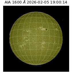 saia - 2026-02-05T19:00:14.133000