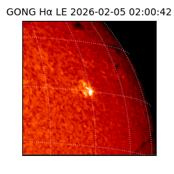 gong - 2026-02-05T02:00:42
