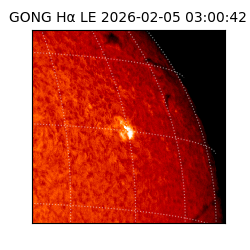 gong - 2026-02-05T03:00:42
