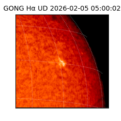 gong - 2026-02-05T05:00:02