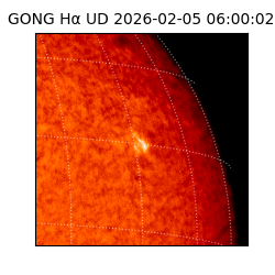 gong - 2026-02-05T06:00:02