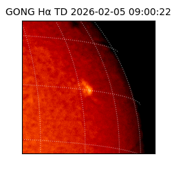 gong - 2026-02-05T09:00:22