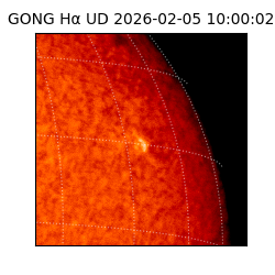gong - 2026-02-05T10:00:02
