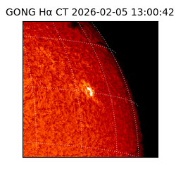 gong - 2026-02-05T13:00:42