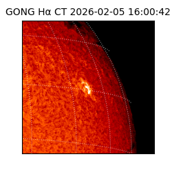 gong - 2026-02-05T16:00:42