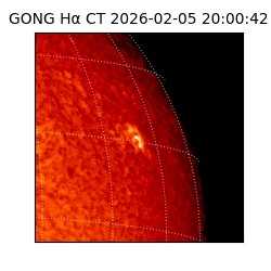gong - 2026-02-05T20:00:42