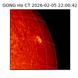 gong - 2026-02-05T22:00:42